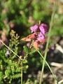 19 09 15_7572_edited-1